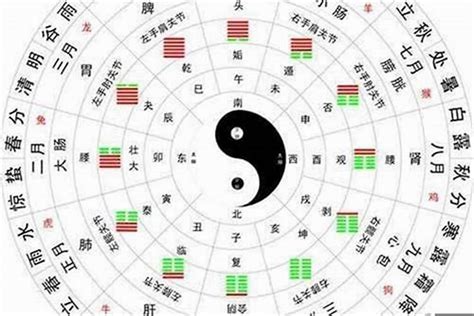 五行金弱|五行金弱是什么命？八字金弱的性格和补救方法